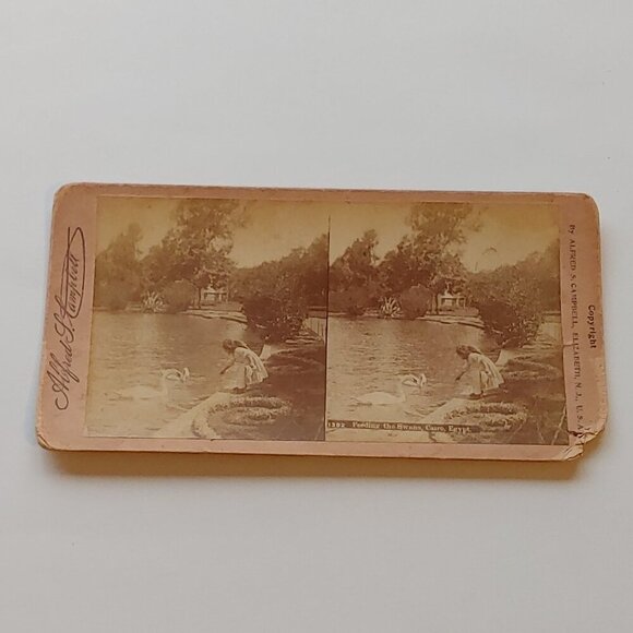ANTIQUE STEREOGRAPH CARD Feeding The Swans Cairo Egypt - Picture 1 of 4
